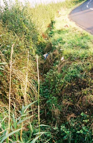 the ditch