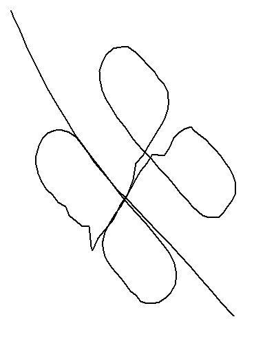 clover01.gif