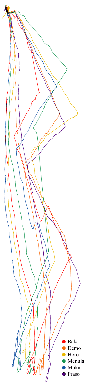 colour boat tracks
