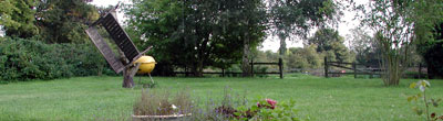 Lawn 2001 Photo