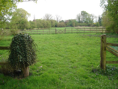 lawn 2005