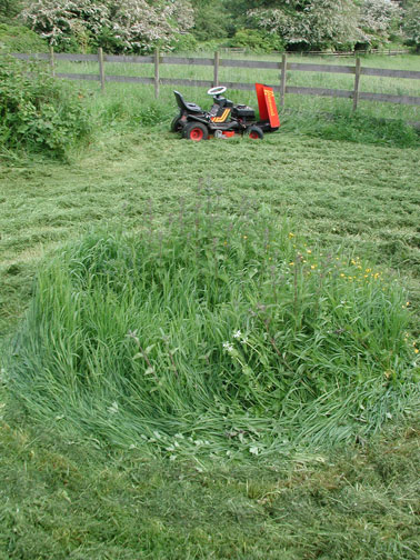 GPS Lawn
