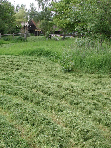 GPS Lawn