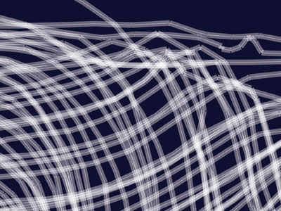 Lawn Weave 2006