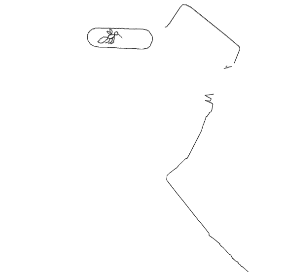 taxi line leading away from the mosquito