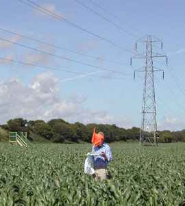 Hugh Pryor trying to read the map with a flag in his face