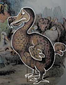 Dodo from Lewis Carroll's 'Alice in Wonderland'