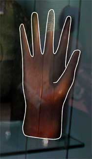 Wooden Hand for displaying gloves in shops